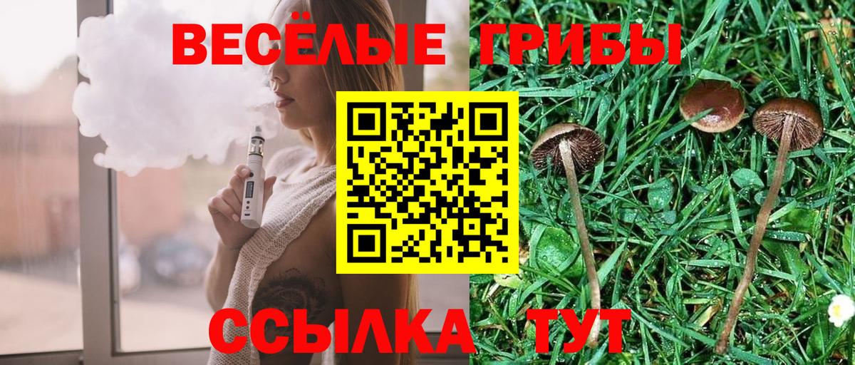 Сызрань  Псилоцибиновые грибы мухоморы  Вход с VPN 